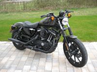 Harley Davidson Sportster Iron 883  Inz.nahme Lieferung möglich Bayern - Marktleugast Vorschau