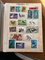 Briefmarkensammlung (DDR,BRD , UdSSR,ĆSSR und Tierbriefmarken) Thüringen - Schleiz Vorschau