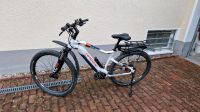 E-Bike Haibike Sduro Hardnine 5.0 Rheinland-Pfalz - Mainz Vorschau