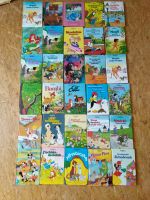 Disneybücher 30 Stück Sachsen - Hohnstein Vorschau