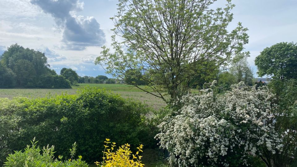 GARTENNUTZUNG – XXL-ÜBERDACHTE TERRASSE – KÜCHE MIT ERKER – HELL in Halle (Westfalen)