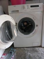 Defekte AEG Waschmaschine an Bastler Bremen - Walle Vorschau