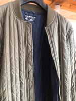 Esprit Steppjacke Blouson oliv M Niedersachsen - Celle Vorschau