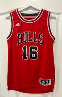 NBA Chicago Bulls Trikot Gasol 16 XS Nürnberg (Mittelfr) - Südstadt Vorschau