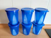 Tupperware 6 Mediterrano Becher Trinkbecher 330 ml mit Deckel Neu Nordrhein-Westfalen - Werl Vorschau