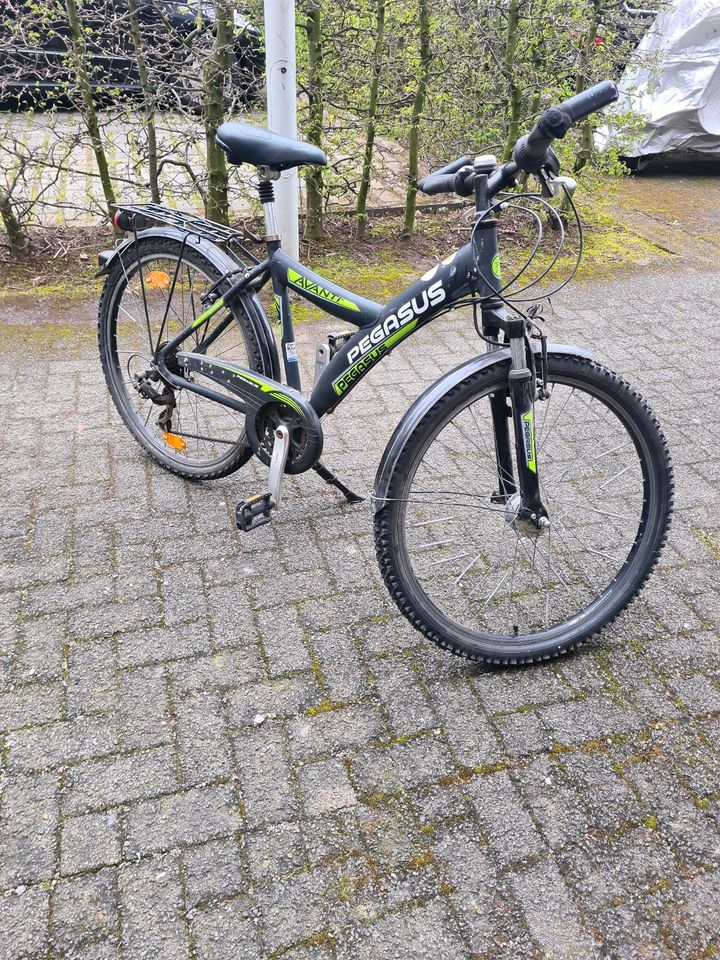 Pegasus Avanti Kinderfahrrad Jugend fahrrad  26 Zoll in Düsseldorf