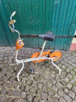 Flarina Trimmrad Fitness  Spinning alt vintage Hessen - Rodgau Vorschau