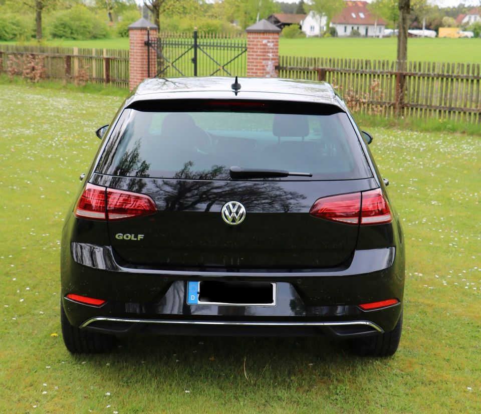 VW Golf 7 VII 1.6 TDI Join / Facelift / TOP Zustand in Lachendorf