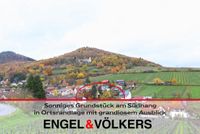 Sonniges Grundstück am Südhang in Ortsrandlage mit grandiosem Ausblick Rheinland-Pfalz - Leinsweiler Vorschau