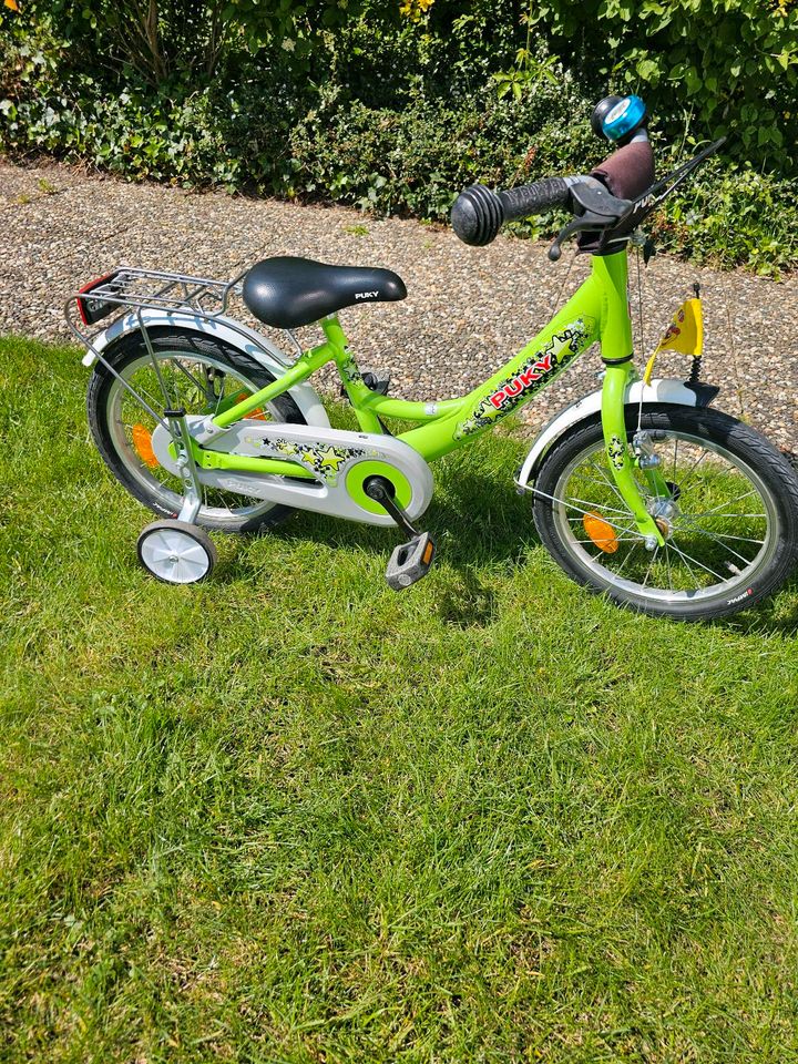 Kinderfahrrad Pucky in Einhausen