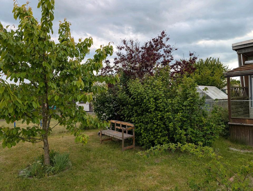 51+ Garten In Rostock Südstadt Kaufen, Vor ein paar jahren wurde das