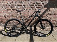 TREK X-Caliber 8 29 Zoll Mountainbike Nordrhein-Westfalen - Krefeld Vorschau