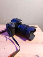 Canon EOS 90D + Canon EF-S 18-135mm Bayern - Lachen Vorschau