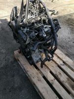 Motor AUDI  CGL CGLB 2,0D 177PS  Q5  A4 A5 A6 39TKM KOMPLETT Sachsen - Dippoldiswalde Vorschau