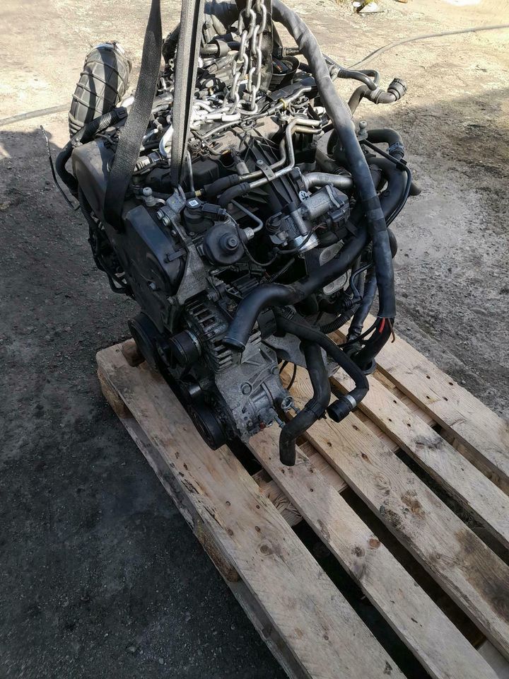 Motor AUDI  CGL CGLB 2,0D 177PS  Q5  A4 A5 A6 39TKM KOMPLETT in Dippoldiswalde