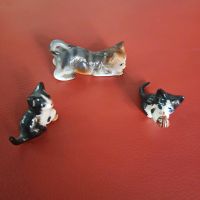 Porzellanfiguren  Katzen Nordrhein-Westfalen - Niederkassel Vorschau