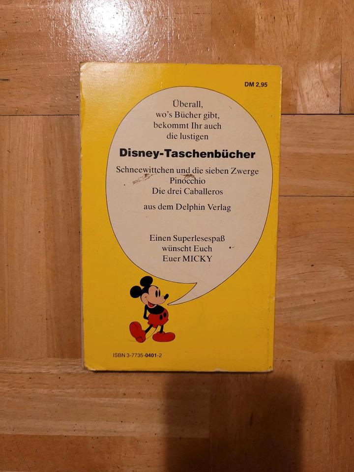 Robin Hood Disney Delphin Verlag Buch Taschenbuch Kinderbuch in Hamburg