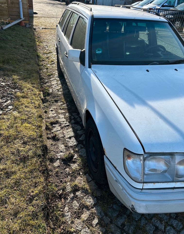 Mercedes W 124 in Coswig