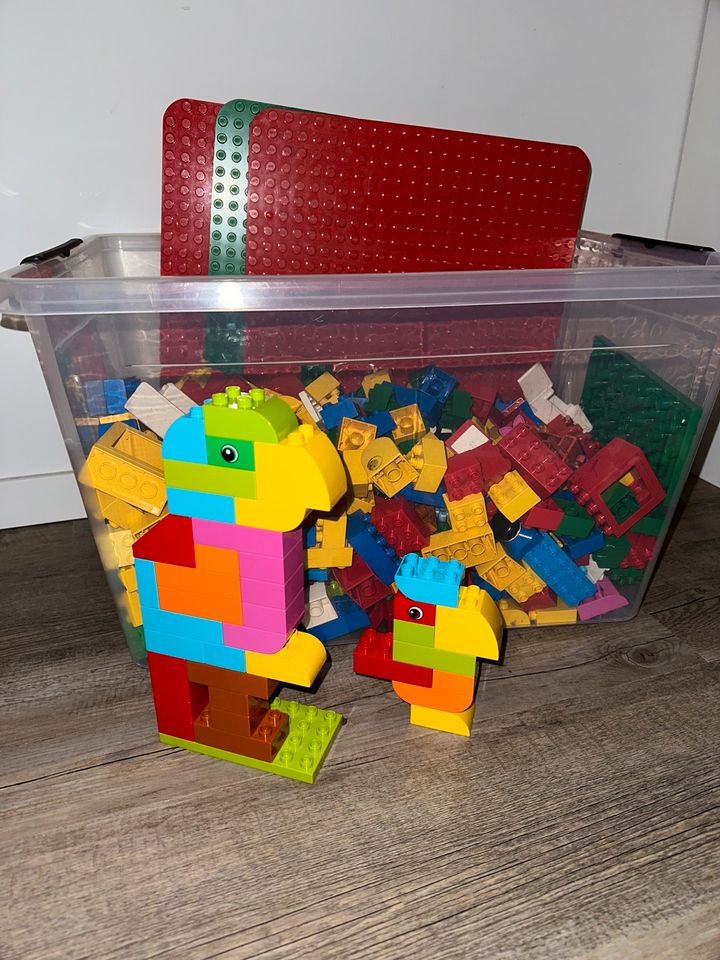 LEGO Duplo & Platten in Norderstedt