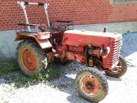 McCormick D217 Old Timer Schlepper Baden-Württemberg - Schwäbisch Gmünd Vorschau