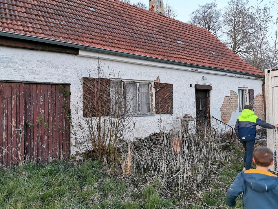 Umzug, Sperrmüll, Streichen, Garten, Reinigung in Fraunberg