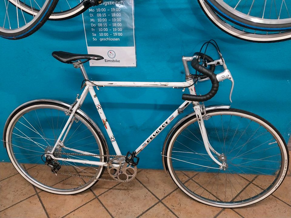 EIMSBIKE AB 395€ Singlespeed ☆ Trekkingrad Herrenrad Crossrad in Hamburg