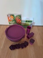 Tupperware Micro Gourmet Sonderedition lila München - Pasing-Obermenzing Vorschau