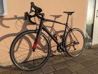 Specialized Allez Expert Rh 58 Bayern - Hof (Saale) Vorschau