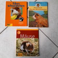 Ratgeber für Meerschweinchen und Mäuse Baden-Württemberg - Mannheim Vorschau
