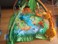 Fisher price Jungle Gym München - Au-Haidhausen Vorschau