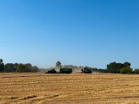 Landwirt/-in für Gemischtbetrieb gesucht Mecklenburg-Vorpommern - Spornitz Vorschau