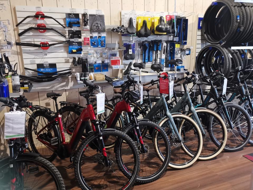 E-Rad Inspektion, E-Bike Inspektion, Bosch, inkl. Software-Update in Esens