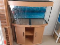 Juwel Aquarium Vision 180l Gewölbt Düsseldorf - Gerresheim Vorschau