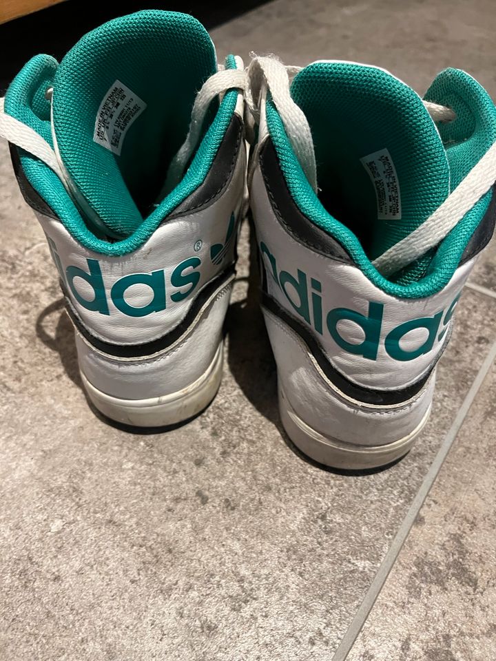 Adidas Damenschuhe Gr. 38,5 in Notzingen