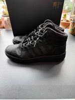 Adidas Sneaker Mid Gr 42,5 München - Hadern Vorschau