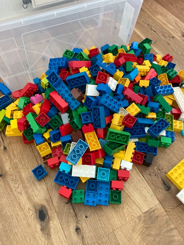 Lego Duplo Steine, Platten, Sondersteine in Wörrstadt