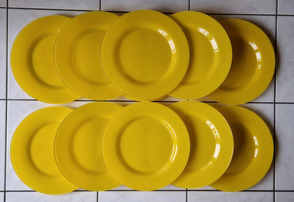 12 große flache Teller Platten im Frühlingshaften gelb von Tchibo in Maintal