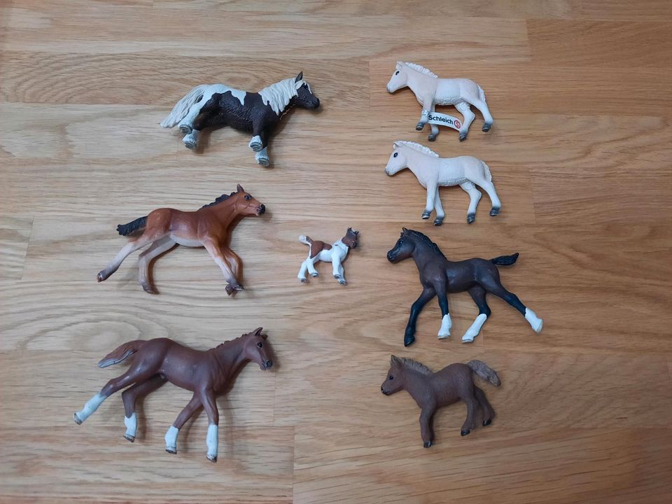 Schleich Pferde/ Pony in Fulda