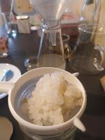 Wasserkefir/Japanische Kristalle Bayern - Bamberg Vorschau