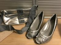 Pumps 39 Silber/Handtasche Niedersachsen - Braunschweig Vorschau