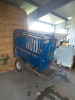 Texas  Behandlungsstand Fangstand Klauenpflege Rinder Rheinland-Pfalz - Lahr Vorschau
