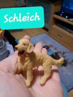 Schleich  Golden Retriever Hessen - Groß-Umstadt Vorschau