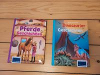 Pferde & Dinosaurier Geschichten- Bücher Niedersachsen - Bückeburg Vorschau