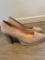 Pumps VIA VAI Gr.40 beige Kroko - wie neu Nordrhein-Westfalen - Bocholt Vorschau