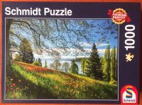 1000 Teile Puzzle, Frühlingsallee zur Tulpenblüte, Insel Mainau Kreis Pinneberg - Halstenbek Vorschau