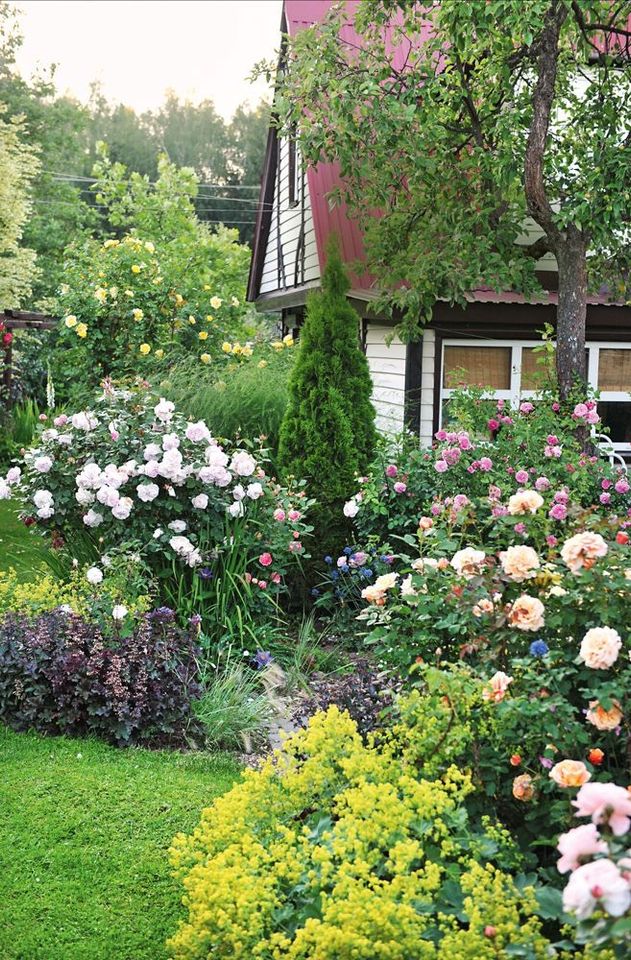 Suche klein Garten zum Kaut in Hildesheim