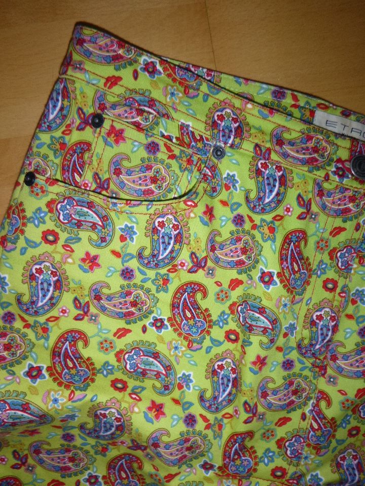 ETRO ❤️ excl. ROCK PAISLEY-DESIGN Apfelgrün Gr. 42 wie NEU in Adendorf