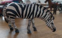 Schleich Zebra Baden-Württemberg - Friedrichshafen Vorschau