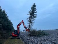 Gehölzpflege, Rodung, Fällgreifer Bagger Bayern - Karlshof b Ederheim Vorschau