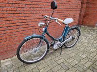 Hercules Moped mit Sachs Motor Niedersachsen - Lingen (Ems) Vorschau